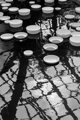 floating white bowls in pond water