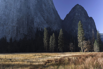 Morning sun illuminates meadow in Yosemite Valley, Yosemite National Park