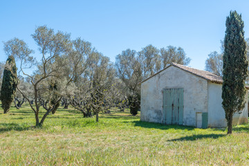 Cabanon sur l'&icirc;le de Porquerolles