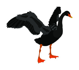 Black swan spread wings vector illustration isolated on white background. Goose wide spread wings. Big bird nature pose.