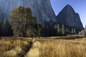 Morning sun illuminates colorful autumn foliage in Yosemite Valley, Yosemite National Park