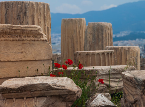 Acropolis de Atenas, marmoles y amapolas