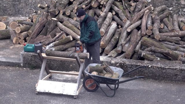 Particulier d&eacute;bitant du bois de chauffage