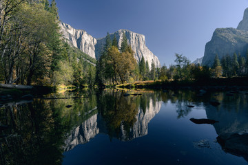 El Capitan and autumn colors reflected in the Merced River in early morning light in Yosemite National Park