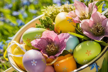Colorful easter eggs with helleborus blossoms in a bowl
