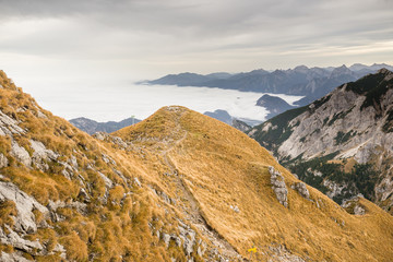 landscape in the mountains