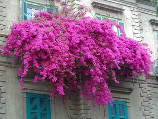 Balcone fiorito pieno di fiori e piante. Sud Europa