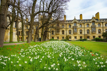 The Hall at one side of the Great Court of Trinity College, part of Cambridge University. Built at...
