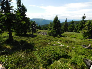 Fototapeta na wymiar mountain