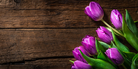 Beautiful purple tulips on dark rustic background