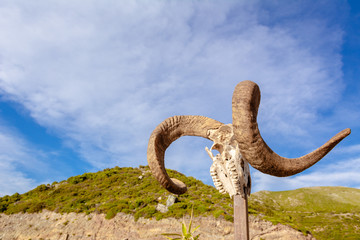 Antlers of a horned animal as a decoration of a seaside tavern on the west coast of Crete. Greece
