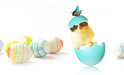 Ostern Küken Motiv