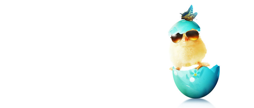 Ostern K&uuml;ken Motiv