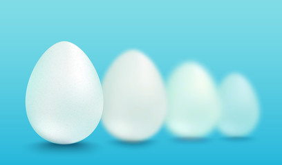Vector white eggs