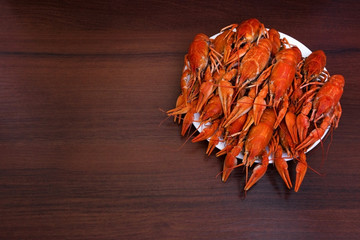 Red crayfish on a plate on a wooden background , dark wooden background