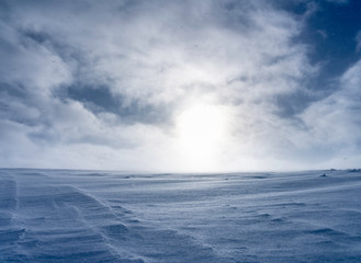 Obraz premium Strong wind moves snowflakes around like under light snowstorm, subarctic Scandinavian mountains in the middle of winter, everything is cold and frozen