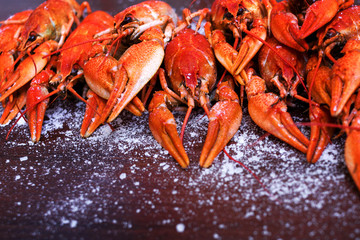 Boiled cooked crayfish crawfish ready to eat on black background.