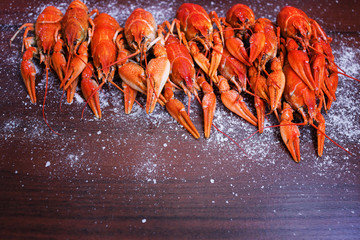 Boiled cooked crayfish crawfish ready to eat on black background.
