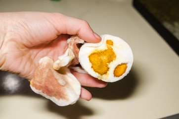 Cotton pad in the hand