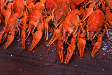 Crayfish for a seafood restaurant. Crayfish party, restaurant, cafe, pub menu