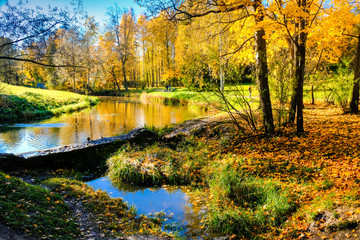 Beautiful autumn sunny landscape in Pavlovsk park with the old dam on Slavyanka river and trees with red and orange leaves, Pavlovsk.