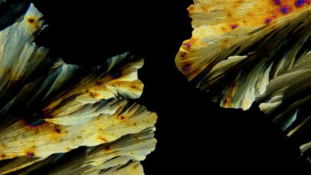 beautiful formation of crystals under the microscope, Paracetamolum solution, the effect of polarization allows you to see different color shades 4K