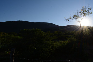 sunset, sky, landscape, mountain, sun, sunrise, nature, mountains, clouds, tree, cloud, silhouette, dusk, trees, forest, morning, blue, orange, evening, sunlight, fog, scenic, dawn, hill, outdoors