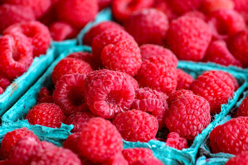 Fresh raspberries ready for sale.
