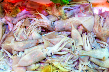 Closeup textured view of squids on the market. Squid Tubes are known by the popular Italian name Calamari. Squid Tubes are popular for stir frying or tossing