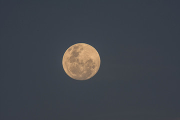 full moon in the sky