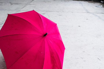 Pink farbener, offener Regenschirm auf Boden