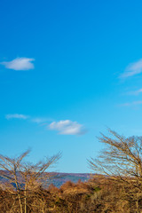 Obraz premium 晩秋の浅間山