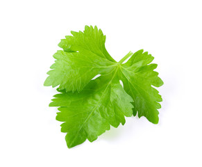 Celery leaf isolated on white background. top view