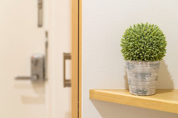 Plastic plant pots Put the decoration at the entrance to the bedroom door