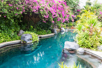 Swimming pool and tropical garden