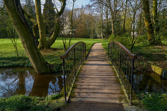 small wooden bridge in the park of the Palais (= palace) in Rastede (district Ammerland, Germany) on a bright spring day - a blooming tree can be seen in background