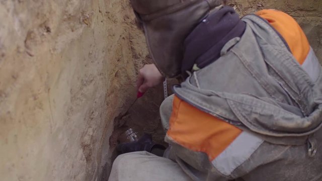 Scientist ecologist getting samples of soil from the bottom of the soil slit