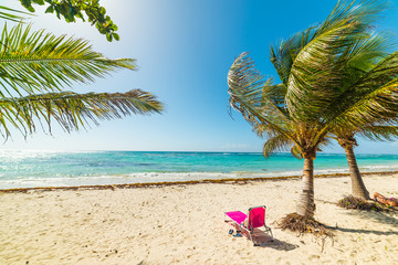 Pink beach chair under a palm tree in Raisins Clairs shore in Guadeloupe