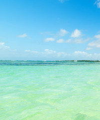 Colorful shore in Bois Jolan beach in Guadeloupe