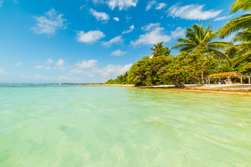 Fototapeta na wymiar Colorful shore in Bois Jolan beach in Guadeloupe