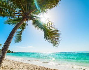 Fototapeta na wymiar Sun shining over Raisins Clairs beach in Guadeloupe