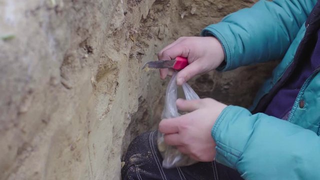 Close up hands of scientist ecologist getting samples of soil from the central layer of the soil slit