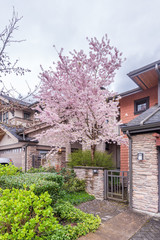 Modern apartment, townhouse buildings in North Vancouver, British Columbia, Canada.