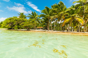 Bois Jolan beach in Guadeloupe