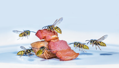 Many wasps fly on roasted ham. Concept annoying insects.