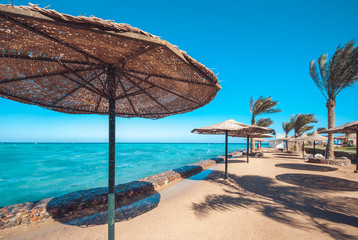 Sandy sea beach filled with sun umbrellas made of straw and sun beds on the background palm trees and blue sea. Sky with the copyspace for your text