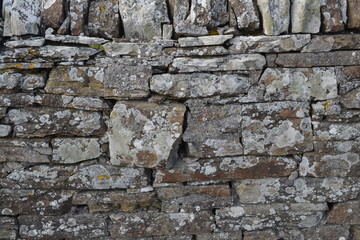dry stone cemetery wall Scotland North Sea 