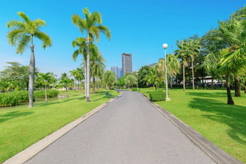 Obraz premium Beautiful garden in daytime