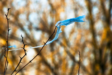 concept - nature conservation and plastic rejection, environmental problems. a piece of plastic bag caught on a branch of an acacia tree and sways by the wind