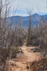 Southwest Hiking Trail